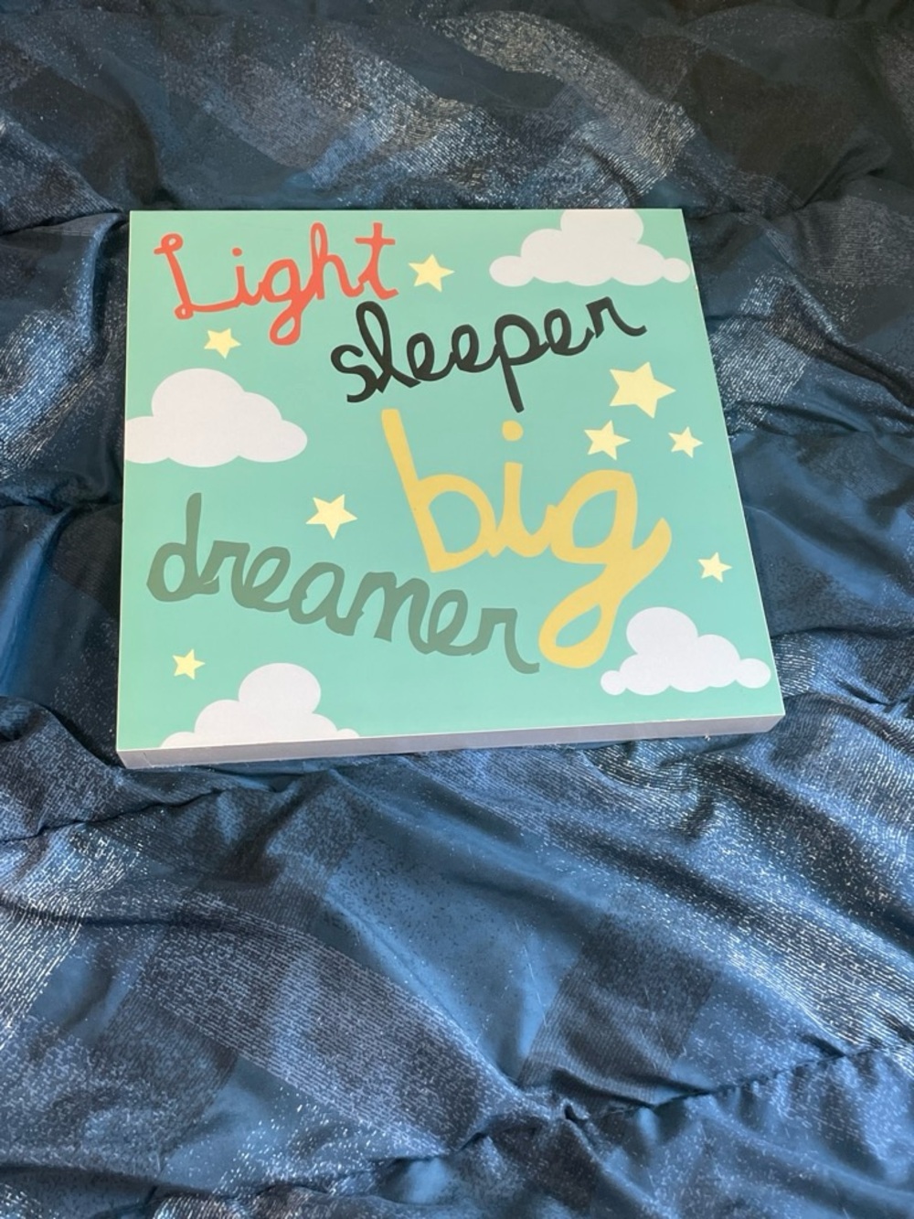 Light Sleeper Big Dreamer Wall Art - Mint, Multicolor